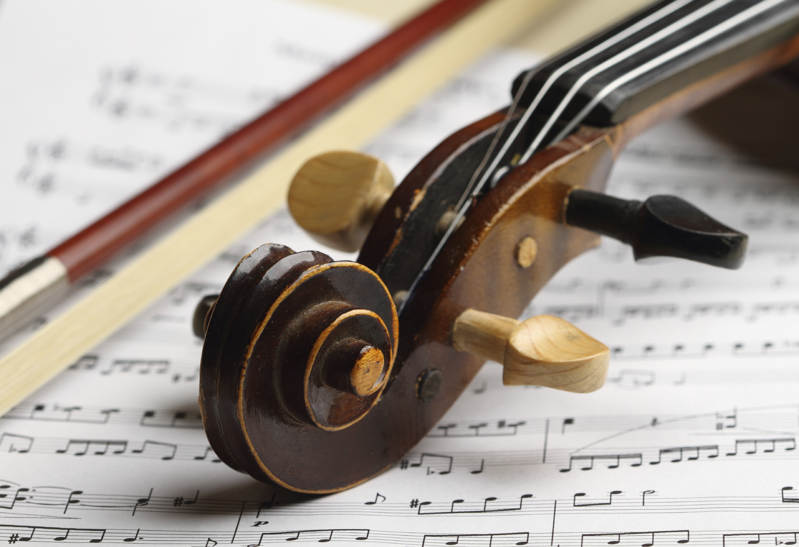 Concerto in Villa Dolfin