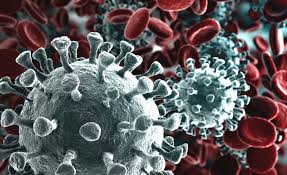 Nuovo coronavirus - Ordinanza Ministero-Regione Veneto