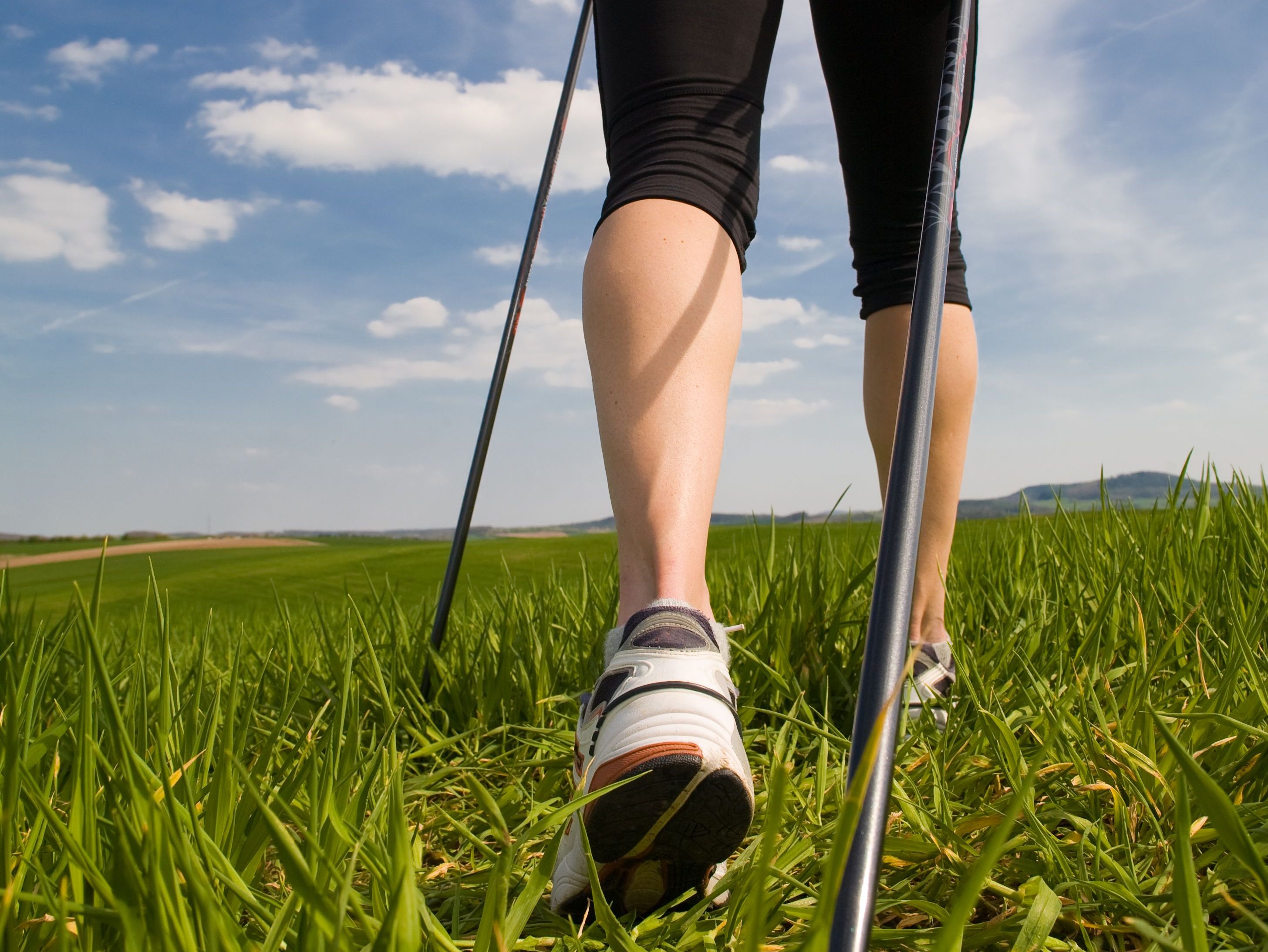 Corso di Walking Leader
